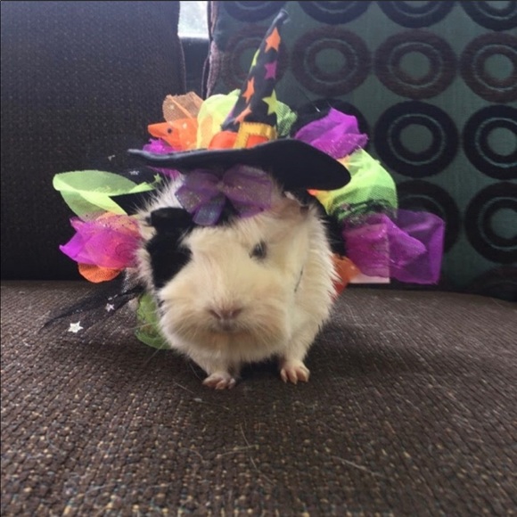 Share for share...⬇️⬇️⬇️⬇️. PLEASE read below. - Picture 16 of 16